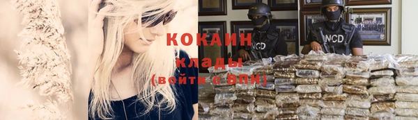 дживик Михайлов
