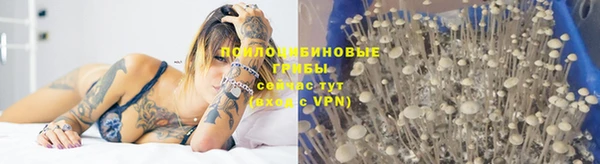 дживик Михайлов
