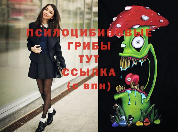 дмт Михайловск