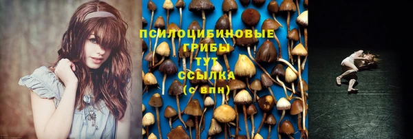 дмт Михайловск