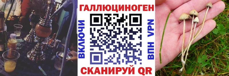 купить наркоту  Нижний Ломов  Галлюциногенные грибы прущие грибы 